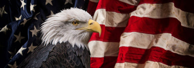 Ridiculously Patriotic Trivia About Eagles