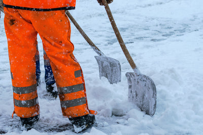 In Praise of Cold-Weather Professions