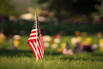 A MEMORIAL DAY PRIMER