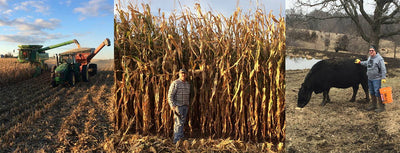 Duke Cannon Good Folks Project: Paul Cain, Farmer